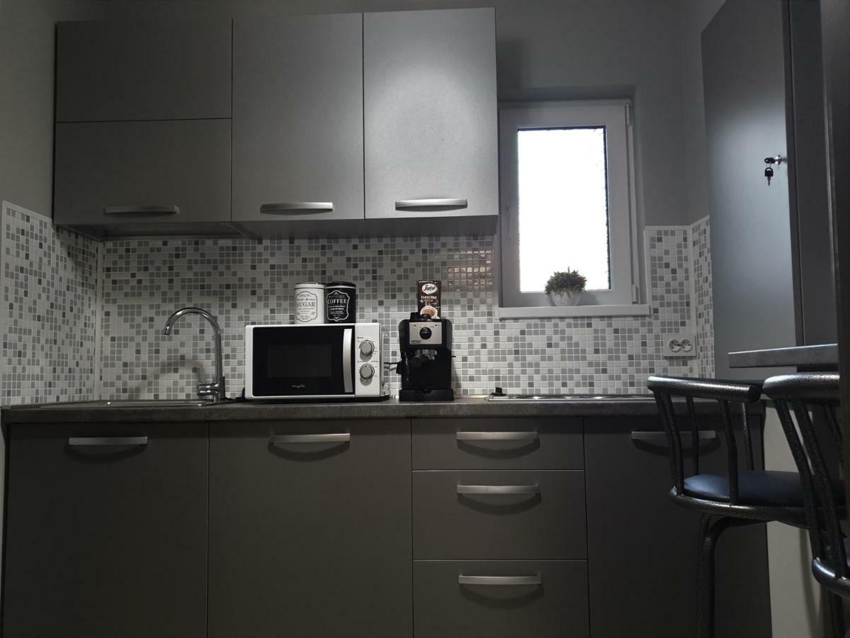 Irina Apartments Timisoara Ngoại thất bức ảnh